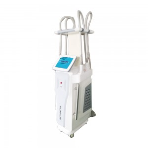 1060-C6 1060nm Diode Laser Body Weight Loss Machine