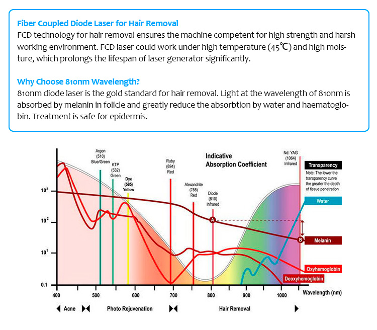 Láser de diodo acoplado de fibra 810Fiber-C 810 para máquina de depilación