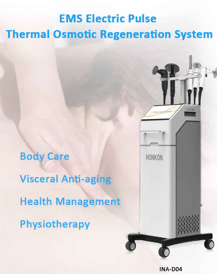 INA-D04 terminio osmosinio regeneravimo sistema